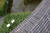 Brique de pavement terre cuite terrasse graphite allee de jardin